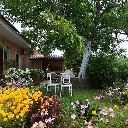 Mina'S Serene Garden House Kontokali Dış mekan fotoğraf